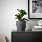 IKEA PERSILLADE toprak saksı koyu gri - 00525611