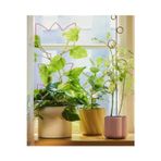 Ikea Quick 2 Adet Bitki Desteği Yükseklik: 64 Cm Ve 55 Cm Saksı İçi Bitki Destekleme Demiri Metal Destek