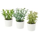 IKEA Saksılı Yapay Bitki 3 Lü, Yeşil 5 Cm MeridyenDukkan Mİni Çiçekler Yeşil Renk Dekorasyon