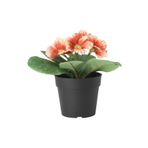 IKEA Saksılı Yapay Bitki Çuha Çiçeği, 9 Cm, Iç/dış Mekan