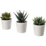 IKEA Saksılı Yapay Bitki Kaktüs