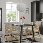 IKEA SALNÖ rattan sandalye rattan - 50551202