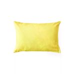 IKEA Sanela Kırlent Kılıfı 40X58 Cm 205.911.34