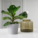 IKEA SKOGSVINBAR seramik saksı gri - 00508447