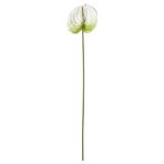 IKEA SMYCKA yapay çiçek beyaz - 30606088