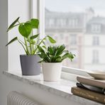 IKEA SOJABÖNA toprak saksı beyaz - 00533574