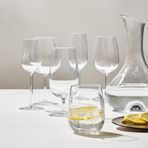 IKEA STORSINT beyaz şarap kadehi cam - 90396313