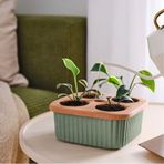 Ikea Toprak Daksjus Saksı, Terakotta-Yeşil, 22X22 Cm 2 20-25 Cm Kare İskandinav Kırmızı 20-25 Cm 3 - 4 L