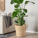 IKEA TÖRNBAR rattan saksı muz lifi - 70524707