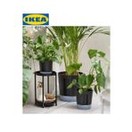 Ikea Vardtrad Sulama Düzenekli Saksı Antrasit Renk 11 Cm