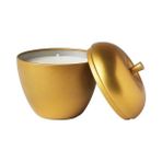IKEA Vınterfınt Metal Kutuda Kokulu Mum, Altın Rengi, 24 Saat, Vanilya, Tarçın ve Tatlı Elma, 9 cm - Gold