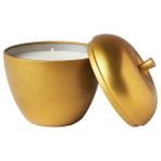 IKEA VINTERFINT metal kutuda kokulu mum altın rengi
