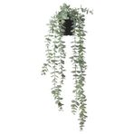 IKEA Yapay Bitki Okaliptüs Bitkisi 9 Cm İç/Dış Mekan,Sarkıt Bitki,Yeşil