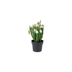 Ikea Yapay Bitki, Yeşil-Beyaz, 9 Cm, Kardelen, İç/Dış Mekan