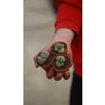 iklim garden Lithops Taş Kaktüs 5,5 Cm saksıda 3 adet