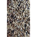 İksir Prof Kuş Maması Süper Karışık Kanarya Yemi 1 Kg