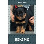 Il mio Rottweiler: Eskimo - Tenebra Lux