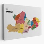 İl ve İlçeler Haritası Samsun, Modern Dekoratif Kanvas Tablo, Duvar Dekoru 1446