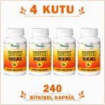 İlim Biotin 5000 Mcg 4 Kutu 240 Bitkisel Kapsül – Biotin Takviye Edici Gıda - Sade