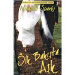 İLK BAKIŞTA AŞK - NICHOLAS SPARKS