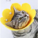 İlk El Grup Evcil Hayvan M Boy Keçe Elizabeth Yakalığı - Renkli