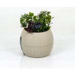 İlk El Grup Ieg™ Mercan Saksı 11.5X12 cm 0.70 Lt - Renkli