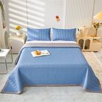 İlkbahar-Yaz Kapitone Yatak Örtüsü Seti, 250 x 230 cm Mavi, 2 Yastık Kılıfı İçerir, Çift Kişilik, Tek Kişilik ve Kraliçe Yataklar için İdeal, Hafif, Rahat, Mevsimler