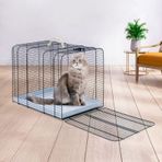 IMAC Trasporto Gatto 2 Kedi Taşıma Kafesi 43x30x35cm