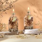 Imperiums Dekoratif Kandil Mum 100 ml Deniz Kabuğu 2'li Set - Krem-Vizon-Pudra - 2 Adet