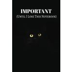 Important (Until I Lose This Notebook): A Funny Journal for Notes, Lists & Ideas – Great for Friends, Family & Co-workers, 110 Lined Pages