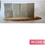 İn3dex Argan Yağlı Antibakteriyel Sabun Mantar ve Enfeksiyon Çözümü - PAKET - 1 Adet