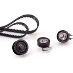 Ina 530053810-TRİGER Seti Skoda Fabıa 1.4 036198119A