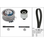 Ina Seat Altea Xl 1.9 Tdı Triger Seti 2006-2010