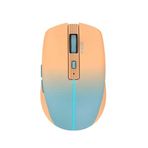 Inca IWM-511RT Dual Mod Mouse