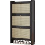 İnce Tasarımlı ve 2/3 Kapaklı Çekmeceli Modern Siyah Rattan Ayakkabı Dolabı Topuklu Terlikler ve Oturma Odası Girişi için Daha Fazla Serbest Ayakta Ayakkabı Rafı için Şık Depolama