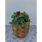İnci Ahşap Saksı 30x30x30