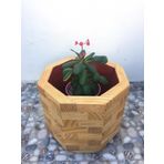 inci mobilya ahşap Ahşap saksı 30x30x30