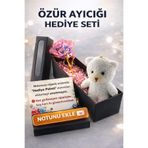 İNCİ sepette Özür mesajlı notlu hediye paketi peluş ve solmayan gül