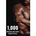 Independently published 1,000 Regular Size Pics: Funny, Gag Gifts Idea Notebook, Naughty, Adult, Humorous Joke Gift, Fake Book Cover, For Men & Women, Blank Lined Pages Journal