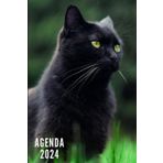Independently published Agenda 2024: Chat Noir - Semainier et Mensuel de Janvier à Décembre 2024 | 12 Mois | Idéal pour Les Étudiants, Professionnels et Particuliers | Calendrier, Liste de Contacts, Notes (French Edition)