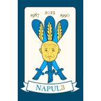 Independently published Agenda giornaliera non datata - Idea Regalo Scudetto del Napoli Campione d'Italia con pagine per appunti, Formato A5 - Stile "Carta Napoletana": ... contenuti in napoletano (Italian Edition)