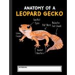 Independently published Anatomy Of A Leopard Gecko Funny Geckos Mom Reptile Dad Notebook