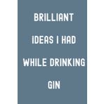 Independently published Brilliant Ideas I Had While Drinking Gin Notebook: Blue Stone Matte Finish Lined Journal, Gift For Thinkers, List Makers & Doers (Journal)