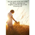 Independently published But the path of the just is like the dawn, shining ever brighter until the day is full. Proverbs 4:18 - Daily Journal