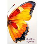 Independently published Butterfly Notebook: Growth is a Process: Butterfly notebook with 120 pages of plain lined paper, mindfulness journal, self help journaling, gift for friend