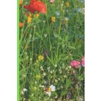 Independently published carnet de notes ligné de jardinage : pour jardinier/jardinière, professionnel ou débutant, pour documenter l'évolution de leur jardin, suivre leurs ... des notes sur leurs projets de jardinage.