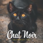 Independently published Chat Noir Calendrier 2022: Calendrier 12 mois, de janvier 2022 à décembre 2022-8.5 po x 8.5 po - Un accessoire pratique pour vous aider à ... votre vie quotidienne. (French Edition)