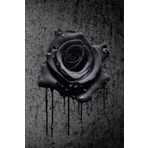 Independently published Dot Grid Journal: Purple rose dripping black paint for adults and teens