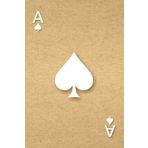 Independently published Ecology Aesthetic Notebook 6x9 | Simple Elegant Natural Ecological Notes with Ace of Spades poker game patterns | Ecological Gray Paper | Checkered Dotted interior | 100 pages
