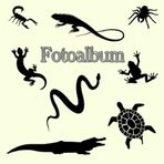 Independently published Fotoalbum Reptilien Kriechtiere Fische Schlangen Eidechsen Geckos Schildkröten Kois Vogelpinnen Skorpione Züchter Buch Aquarium Exoten Terrarium ... Andenken Erinnerungsfotobuch Beige